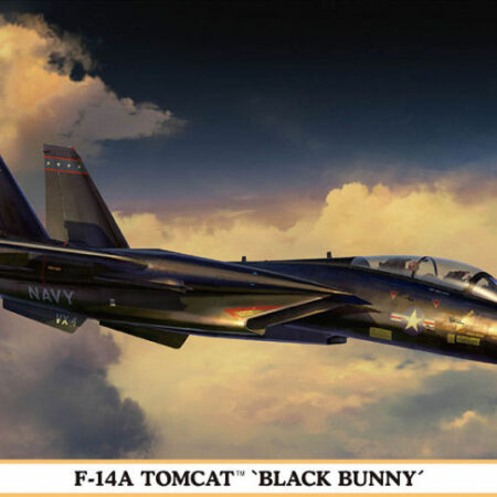 Hasegawa F-14A TOMCAT BLACK BUNNY KIT 1:72