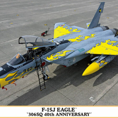 Hasegawa F-15J EAGLE 306 SQ 40th ANNYVERSARY KIT 1:72