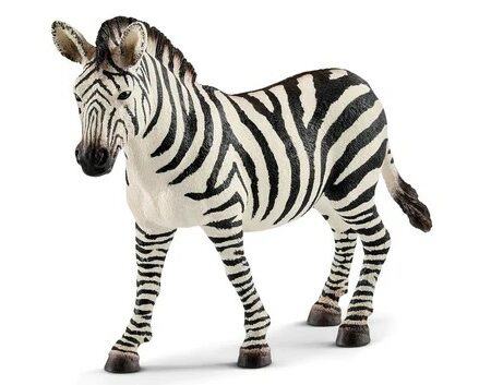 Schleich GIOVANE FEMMINA DI ZEBRA 12 x 3,2 x 8,5 cm