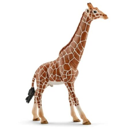 Schleich GIRAFFA MASCHIO