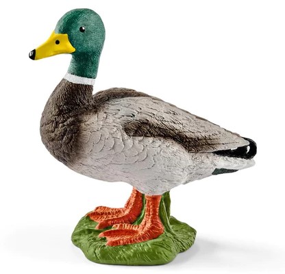 Schleich ANATRA MASCHIO