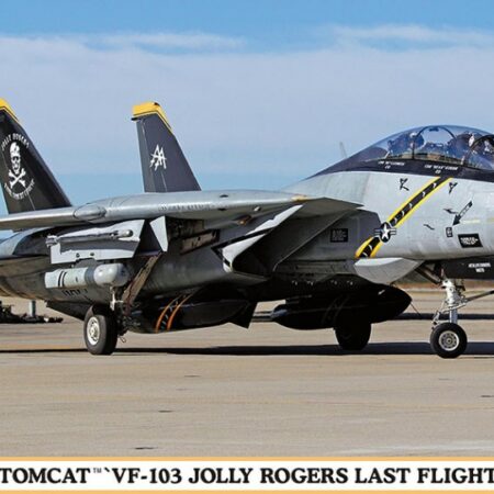 Hasegawa F-14B TOMCAT VF-103 JOLLY ROGERS LAST FIGHT 2004  KIT 1:72