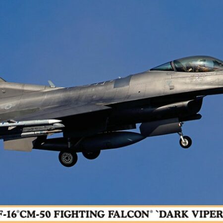 Hasegawa F-16CM 50 FIGHTING FALCON DARK VIPER KIT 1:48