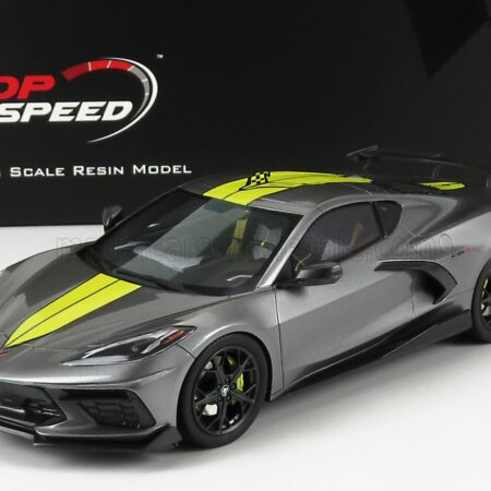 TRUESCALE 1/18 CHEVROLET | CORVETTE STINGRAY N 0 IMSA GTLM CHAMPIONSHIP EDITION 2020 | GREY YELLOW