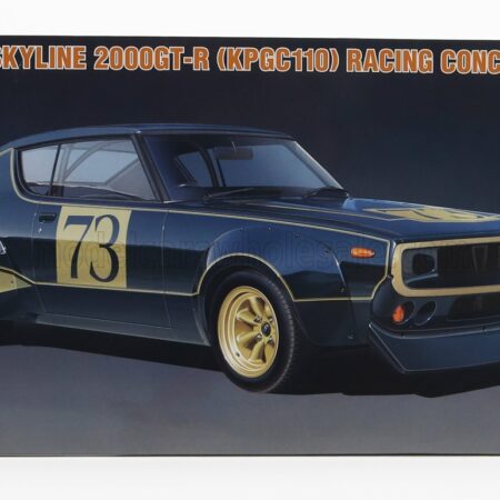 HASEGAWA 1/24 NISSAN | SKYLINE 2000 GT-R N 73 (KPGC110) RACING CONCEPT 1973 | /