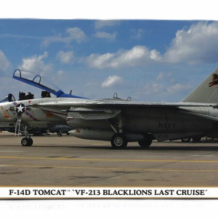 HASEGAWA 1/72 GRUMMAN | F-14D TOMCAT VF-213 BLACKLIONS LAST CRUISE MILITARY AIRPLANE 1974 | /